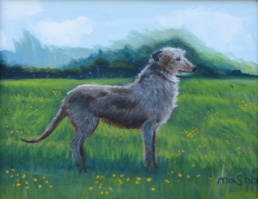 Sean, an Irish Wolfhound