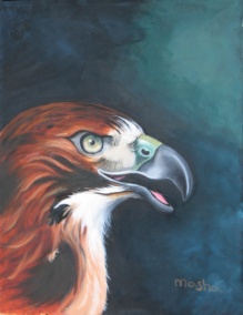 A hawk